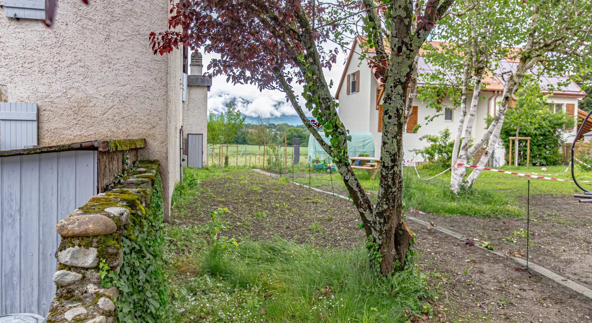 12789e8363a33790d001c1f603a16cdd_f1ead5c54e_1920-original-2