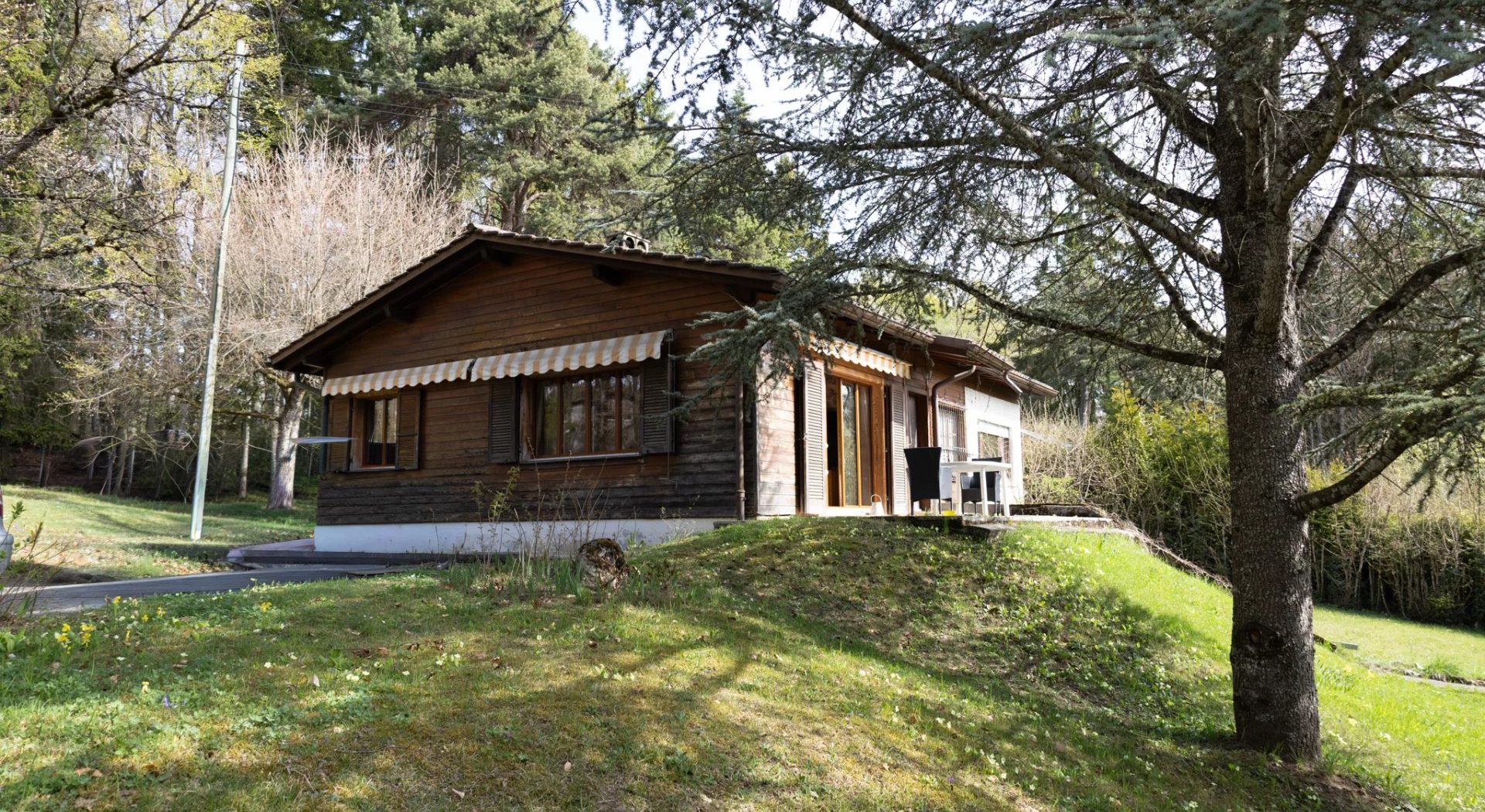 91817e26d223641b2ffed34b31cecd01_e20b3ced02_1920-original